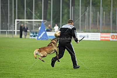 Haddocks von der schoenen Ecke