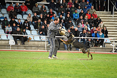 Hades vom Eisernen Kreuz