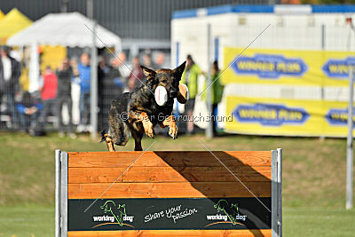 Hades vom Eisernen Kreuz