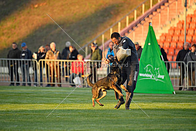Hades vom Eisernen Kreuz