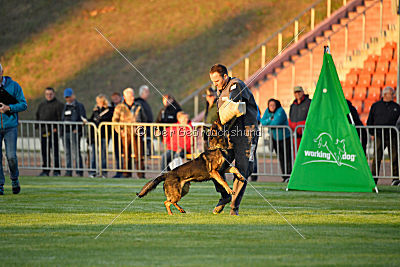 Hades vom Eisernen Kreuz