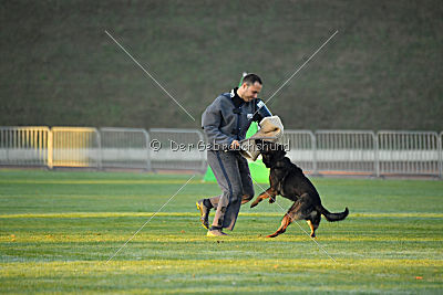 Hades vom Eisernen Kreuz