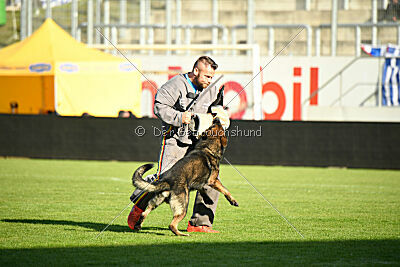 Haider Tempesta del Nordest