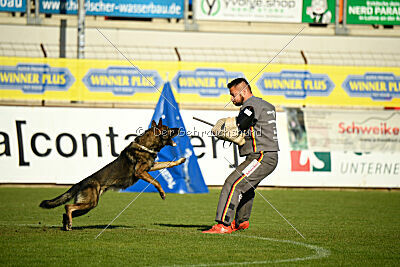 Haider Tempesta del Nordest