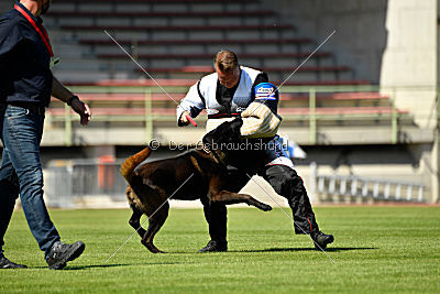 Halden NPA Detection Dog