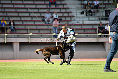 Halden NPA Detection Dog