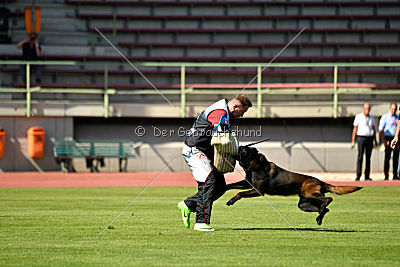 Halden NPA Detection Dog