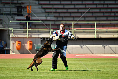 Halden NPA Detection Dog