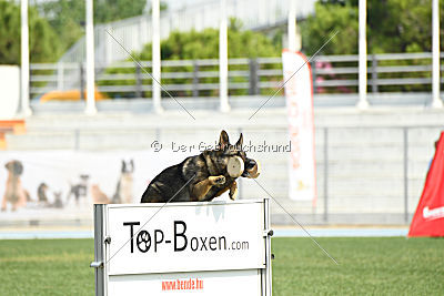 Hamlet of S. Wistaria