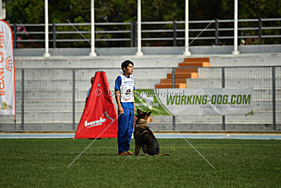 Hamlet of S. Wistaria