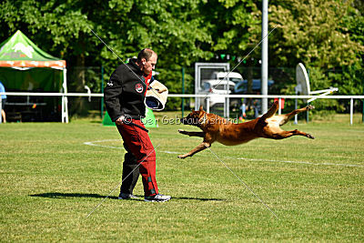 Hanni vom blauen Mistral