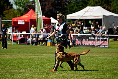 Hanni vom blauen Mistral