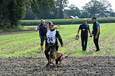 Hannibal des chiens de travail