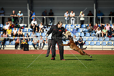 Hannibal von Inis Vitrin