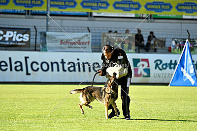 Hanuta vom schwarzen Rubin