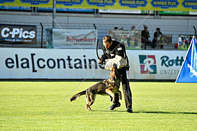 Hanuta vom schwarzen Rubin