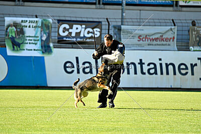 Hanuta vom schwarzen Rubin