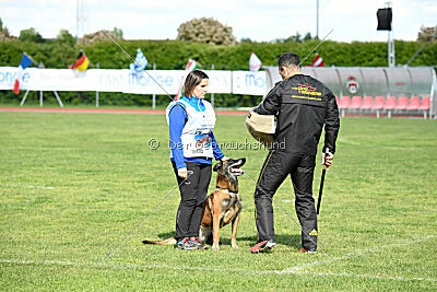 Harley Quinn Force Canina
