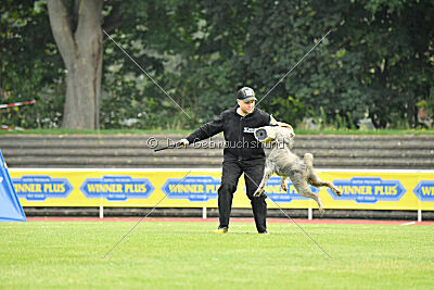 Hasenhirsch Gustl