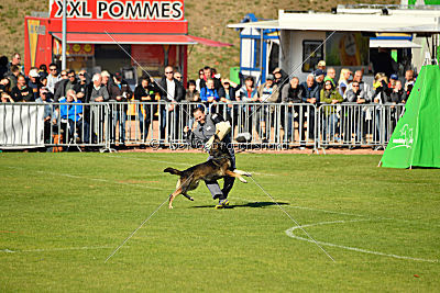 Havanero vom Leipheimer Moor