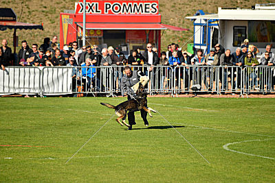 Havanero vom Leipheimer Moor