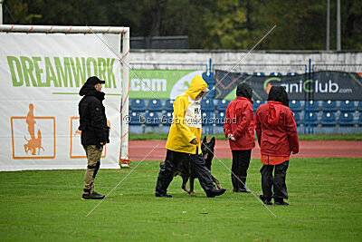 Hayco vom Haus Westland