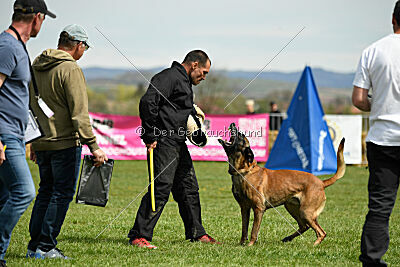 Hector vom Roten Sturm