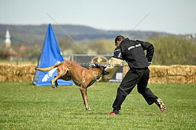 Hector vom Roten Sturm