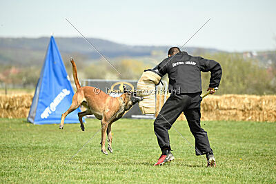 Hector vom Roten Sturm