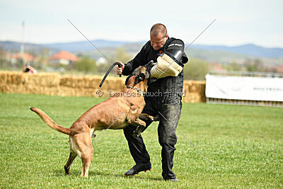 Hector vom Roten Sturm