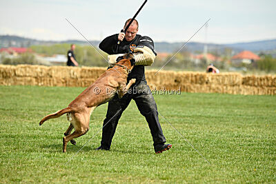 Hector vom Roten Sturm