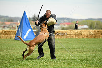 Hector vom Roten Sturm
