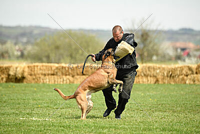 Hector vom Roten Sturm