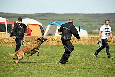 Hector vom Roten Sturm