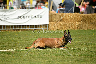 Hector vom Roten Sturm