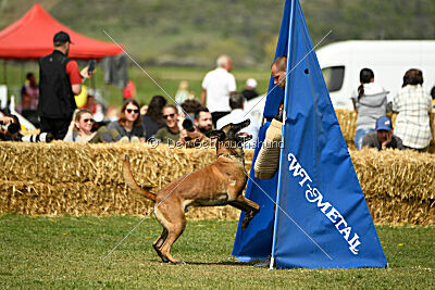 Hector vom Roten Sturm