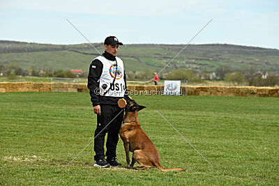 Hector vom Roten Sturm