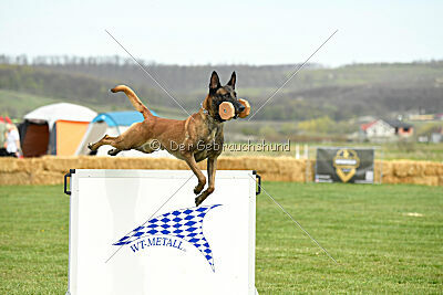 Hector vom Roten Sturm