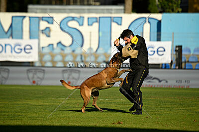 Hector vom Roten Sturm