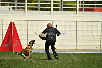 Heizia du Domaine de Rossfelden