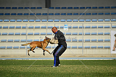 Heizia du Domaine de Rossfelden