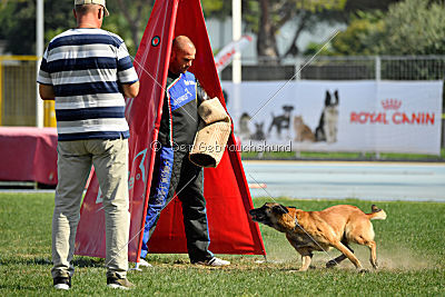 Heizia du Domaine de Rossfelden