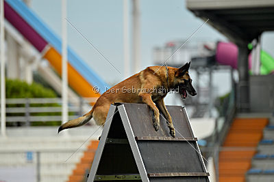 Heizia du Domaine de Rossfelden