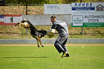 Hellboy von der schwarzen Irma