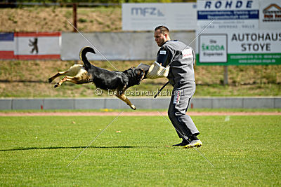 Hellboy von der schwarzen Irma