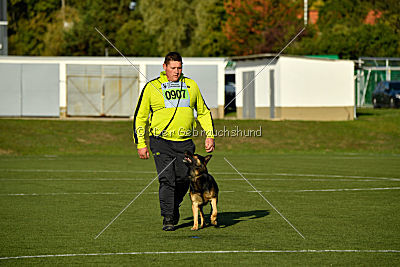 Hellboy von der schwarzen Irma