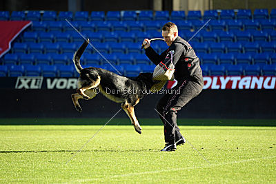 Henri vom Weinbergblick