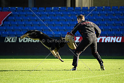 Henri vom Weinbergblick