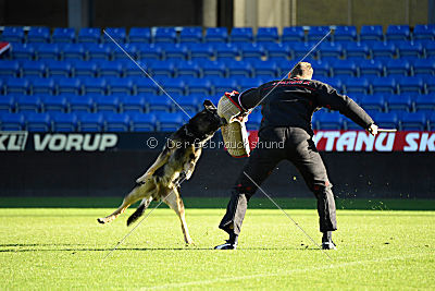 Henri vom Weinbergblick