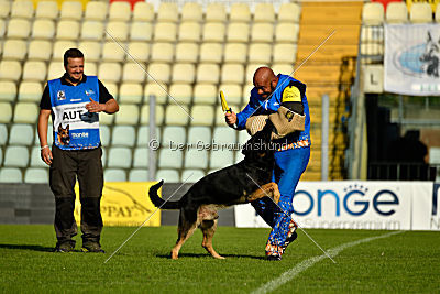 Henri vom Weinbergblick